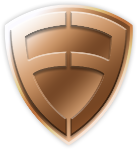 Bronze: Donate at least $100 to earn this badge.