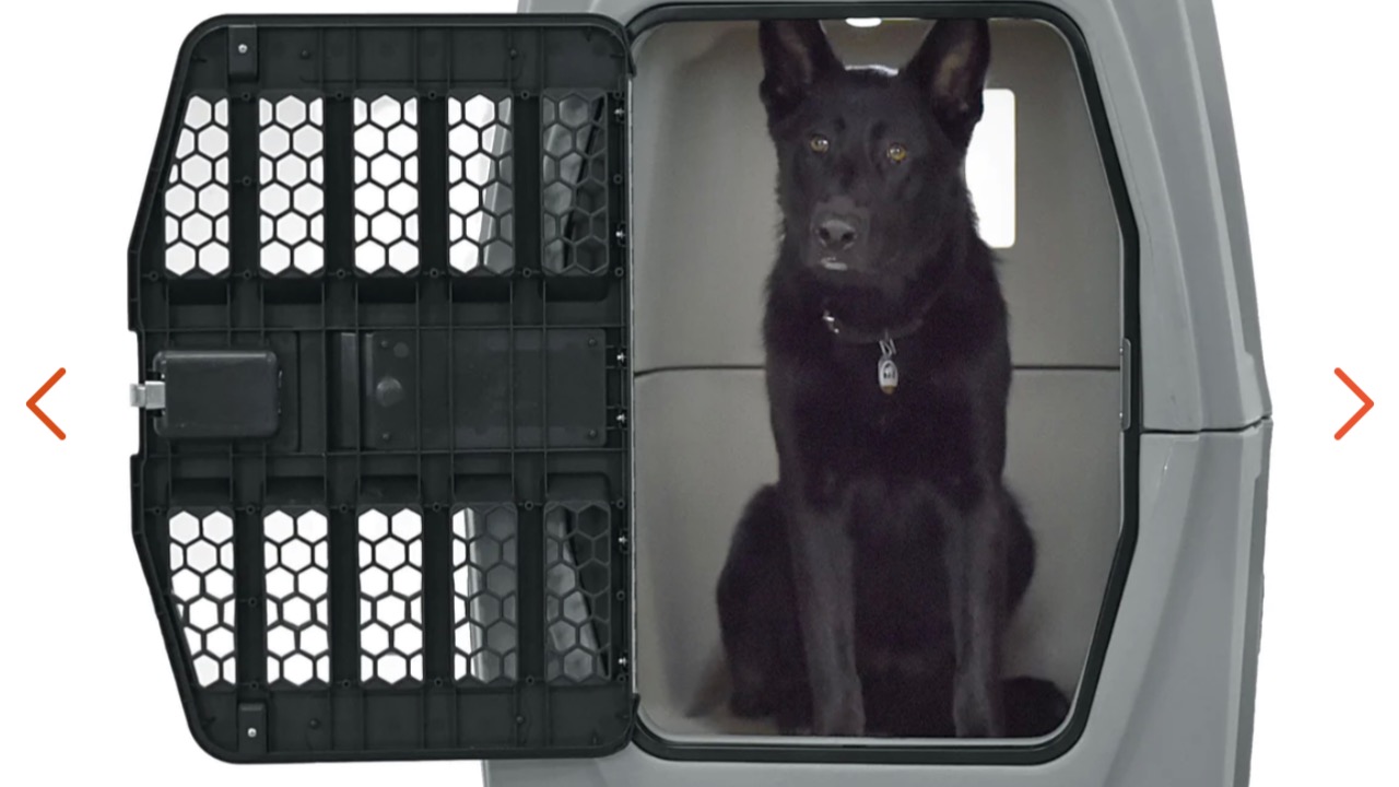 K-9 Joker made his goal, help K-9 Bane with his!