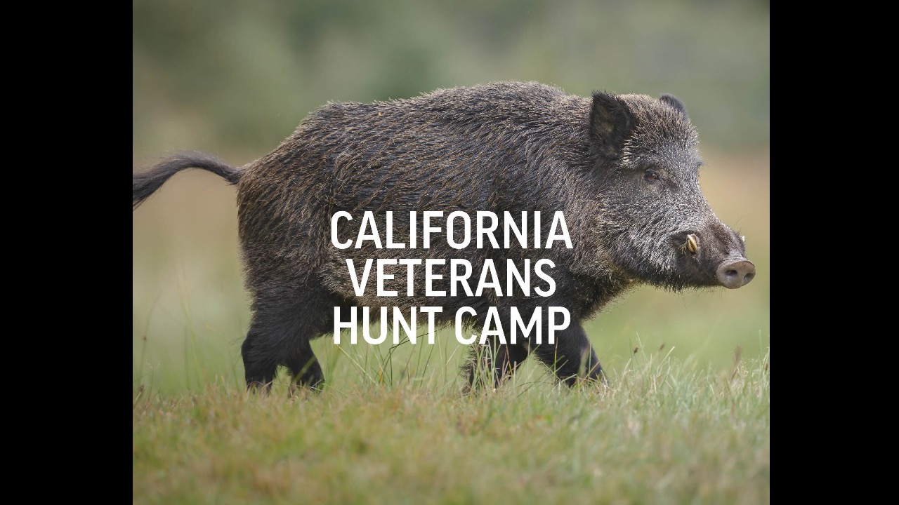 Veteran Hunt Camps