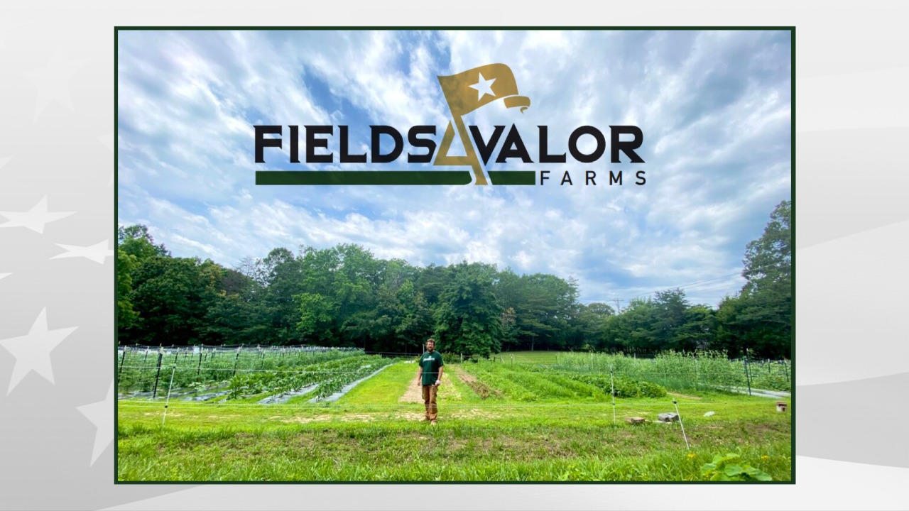 Fields4Valor Farms: Helping a Veteran Help Countless Veterans in Need