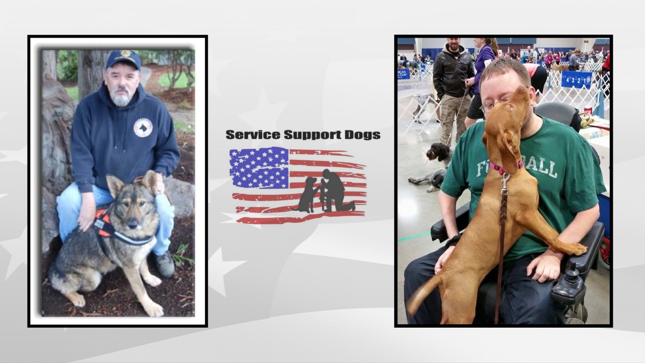 Service Dogs for Veterans